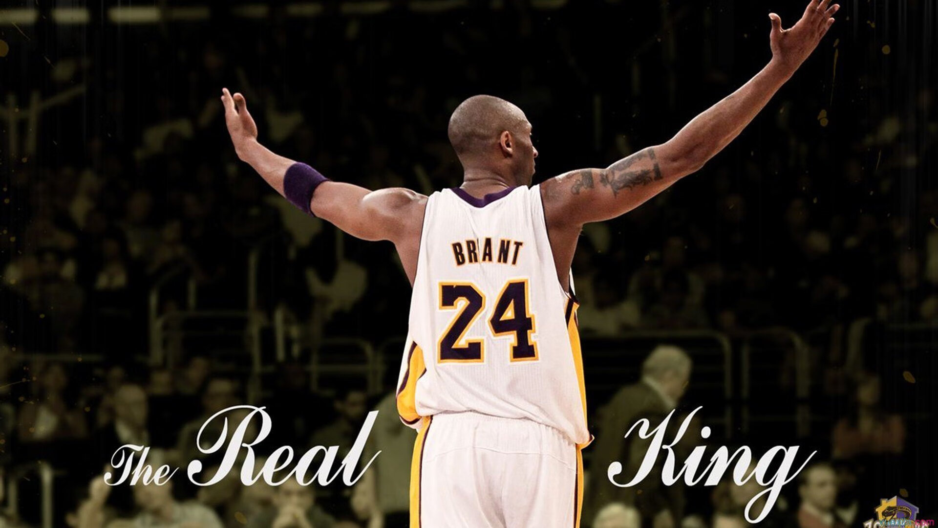 NBA球队替补席贡献分析报告，nba替补席能不能进入球场